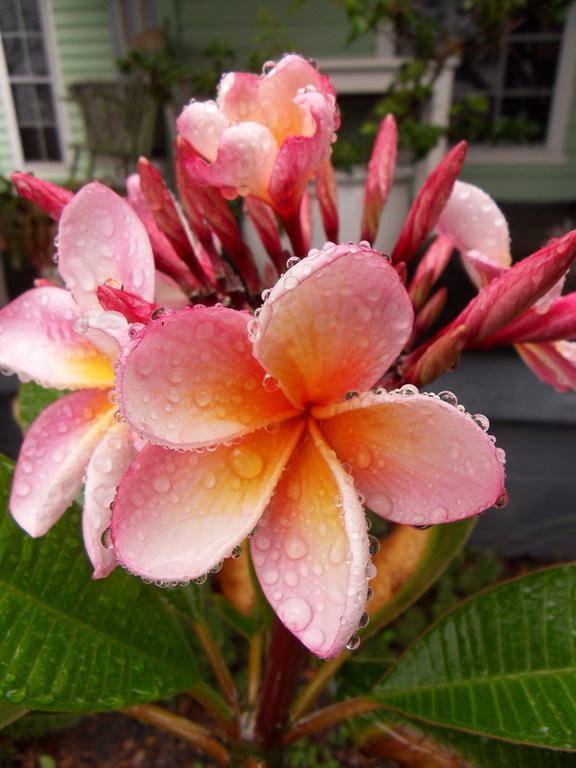 Huskisson Bed And Breakfast Luaran gambar
